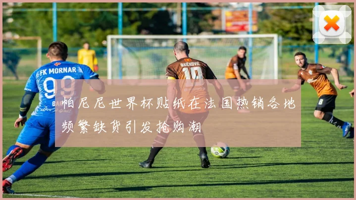 帕尼尼世界杯贴纸在法国热销各地频繁缺货引发抢购潮
