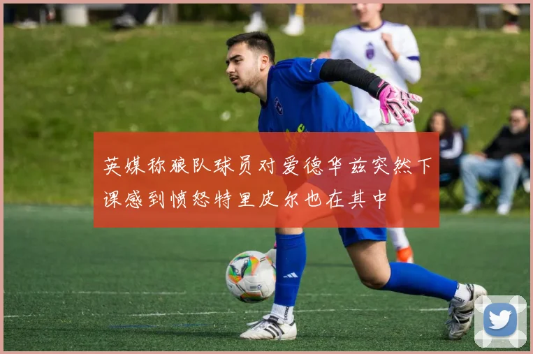 英媒称狼队球员对爱德华兹突然下课感到愤怒特里皮尔也在其中